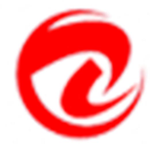 技术咨询、技术服务、技术转让与计算机网络系统工程服务 构建企业数字化转型的综合能力